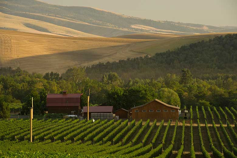 Walla Walla Wine Tours Lodging Walla Walla Wine Tours Lodging