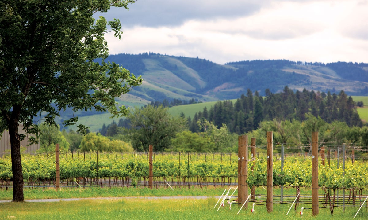 Image result for walla walla