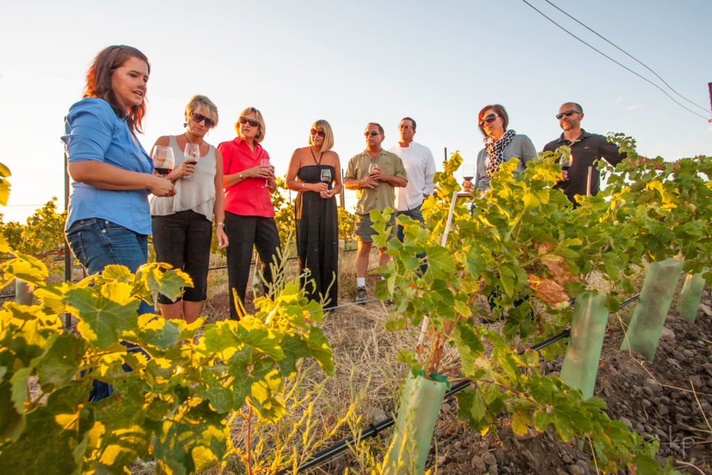 Group of people on a wine tour drinking wine looking at grape vines