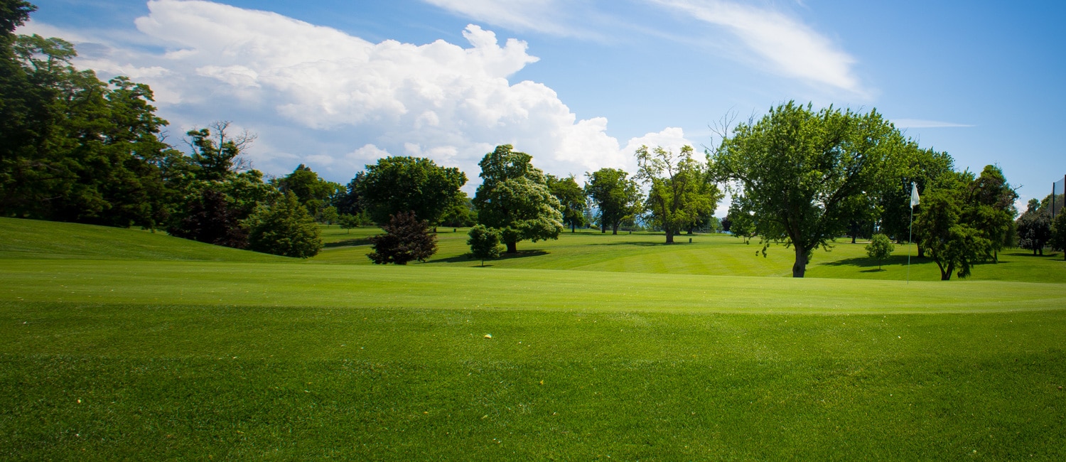 Veterans Memorial Golf Course