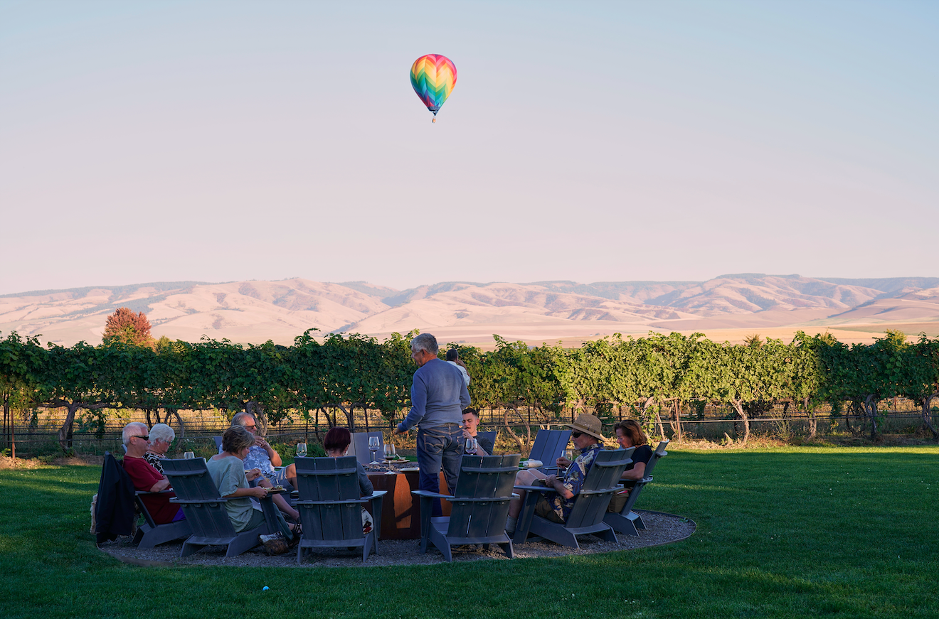 Kinhaven Hot air balloon over vineyard