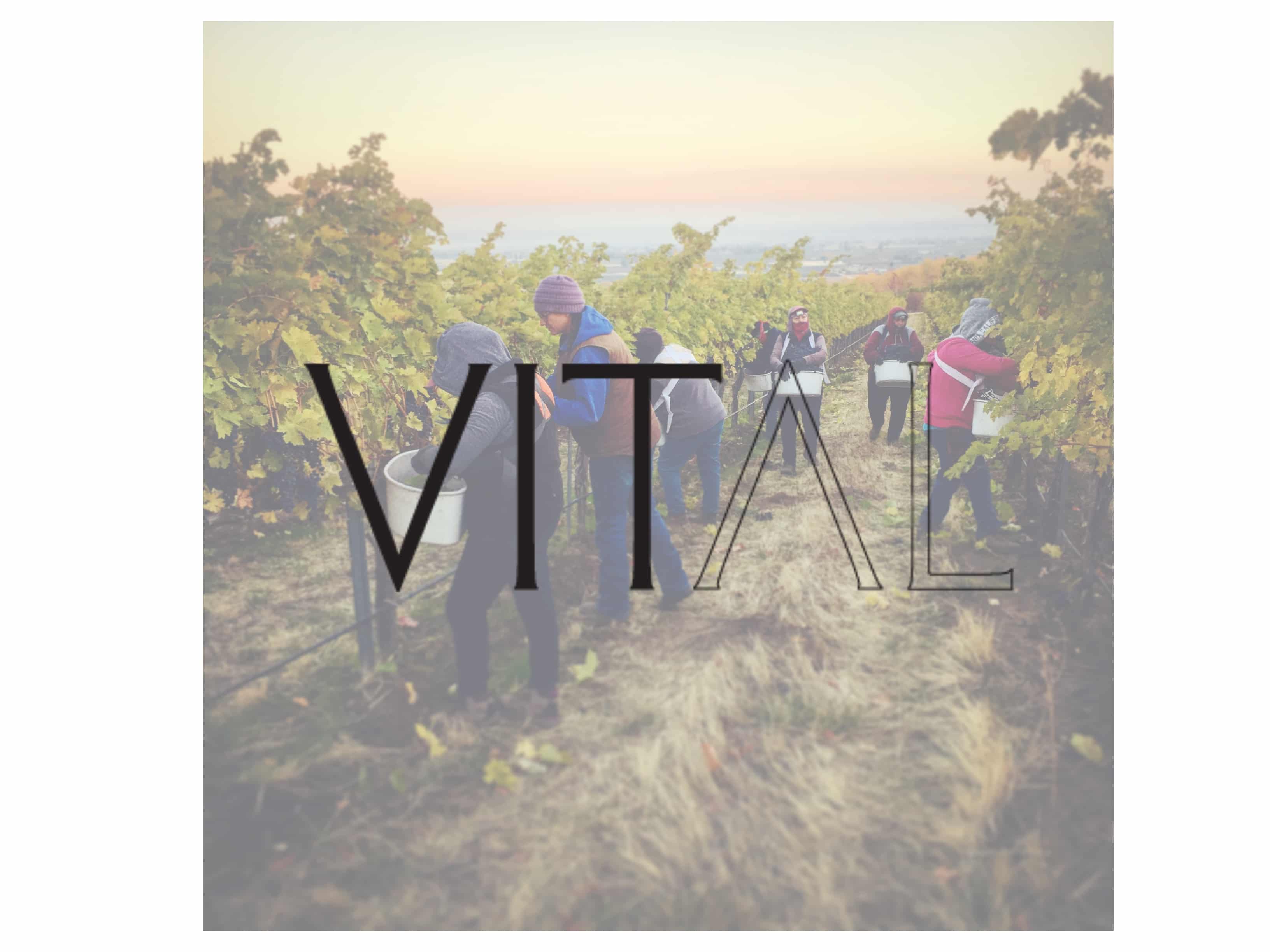 Vital Wines