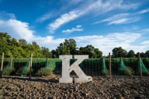 East Side Wine District - K Vintners Phil Lane Estate Vineyard
