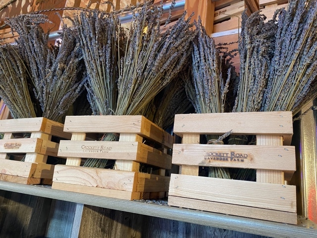 Dried Lavender