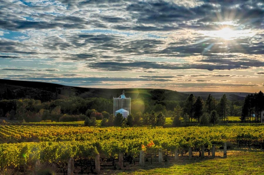 America's Best Wine Region 2021