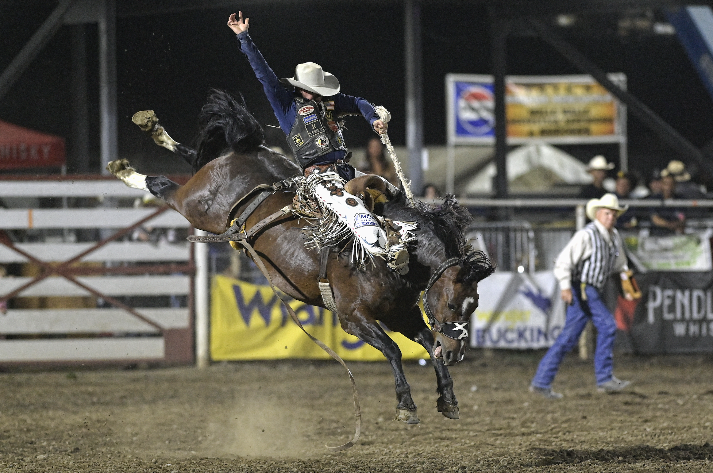 WW Fair & Frontier Days rodeo - cowboy on bucking horse