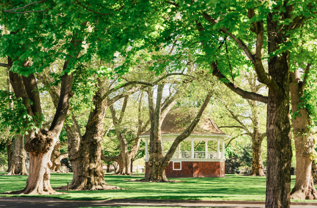 Pioneer Park gazebo & trees